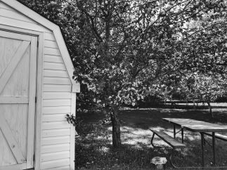 A black and white photo of a baby barn