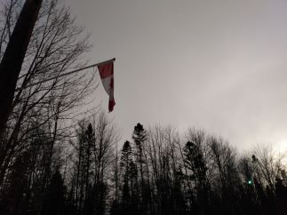 A canadian flag waving in the winter