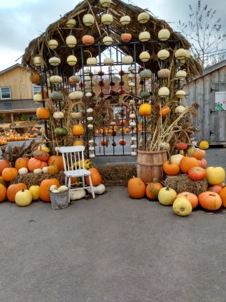 a pumpkin house at a farmers market
